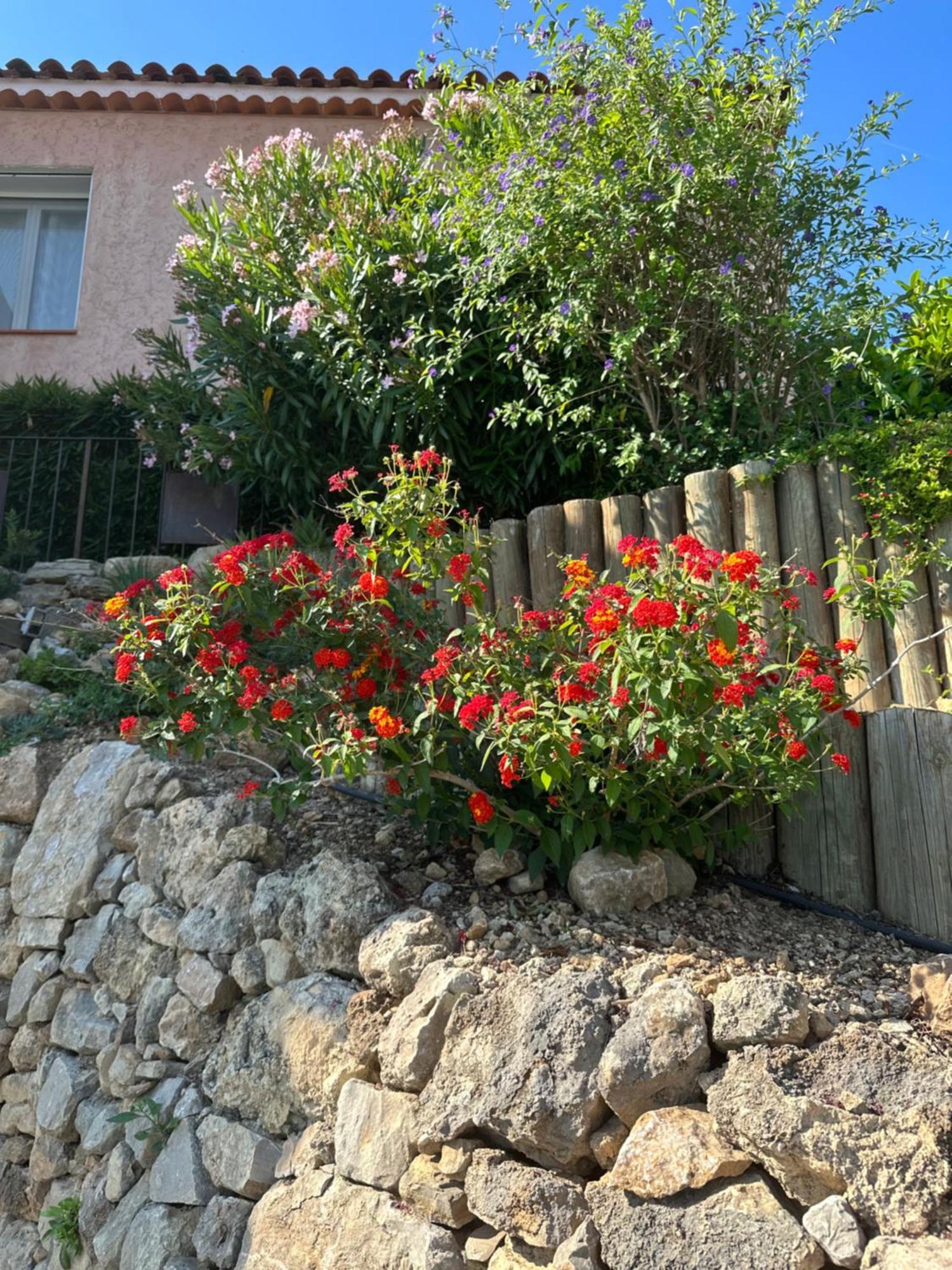 Apartmán Les Amandiers Draguignan Exteriér fotografie